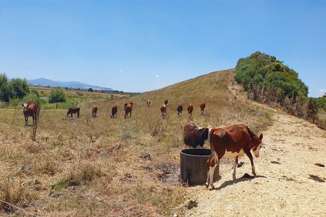 Photo of property in 218 Island Block Road, Island Block, Te Kauwhata, 3782