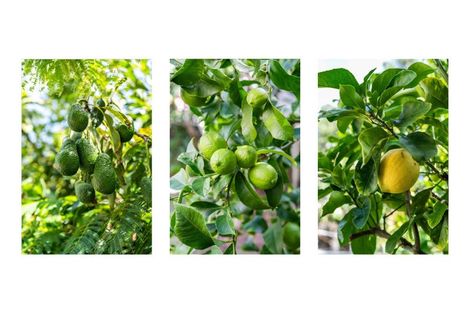 Photo of property in 230b Rangi Avenue, Whangamata, 3620