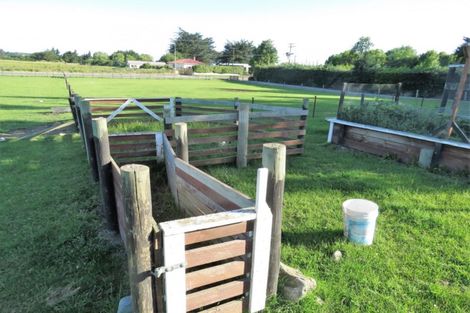 Photo of property in 268 Oamaru-alma Road, Alma, Oamaru, 9491