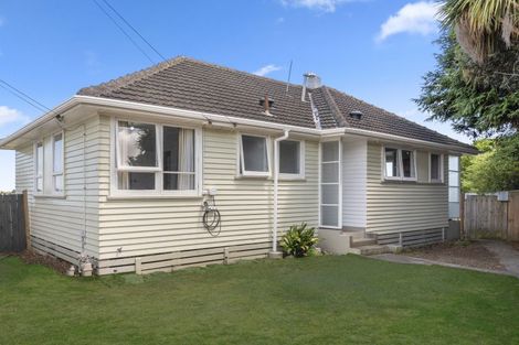 Photo of property in 24 Mahoe Street, Levin, 5510