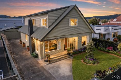 Photo of property in 20 Anderson Grove, Epuni, Lower Hutt, 5011