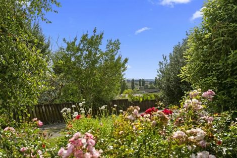 Photo of property in 143 Tirau Street, Putaruru, 3411