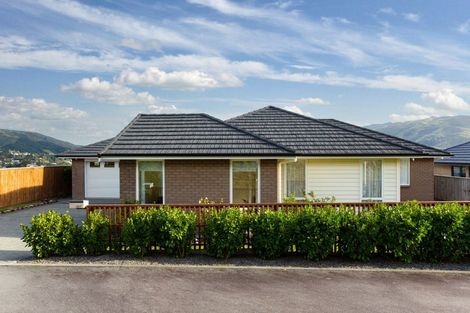 Photo of property in 167 John Burke Drive, Aotea, Porirua, 5024