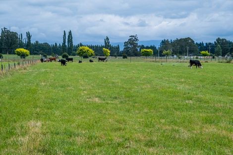 Photo of property in 587 Pleasant Point Highway, Levels, Timaru, 7975