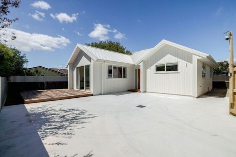 Photo of property in 43a Birmingham Street, Takaro, Palmerston North, 4412