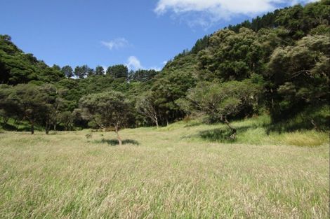 Photo of property in 635 Whakatomotomo Road, Pirinoa, Featherston, 5772