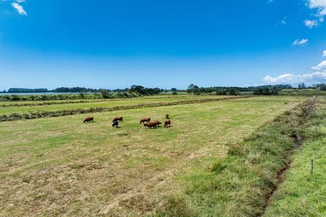 Photo of property in 36 Sedgemoor Lane, Tahawai, Katikati, 3178
