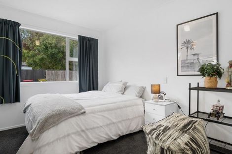 Photo of property in 9b Oudenarde Street, Renwick, 7204