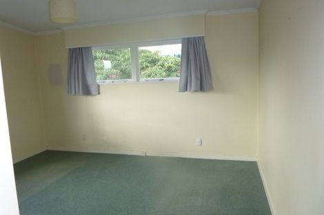 Photo of property in 60 Wakeman Street, Pahiatua, 4910