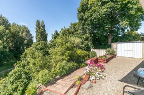 Photo of property in 14b Goldsmith Street, Maeroa, Hamilton, 3200