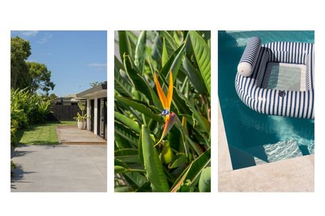 Photo of property in 10 Oleander Lane, Mount Maunganui, 3116