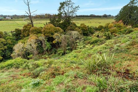 Photo of property in 7 Mckain Place, Fitzroy, Hamilton, 3206