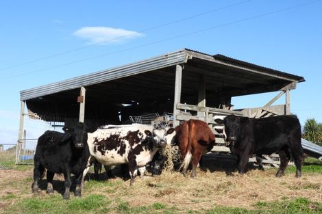 Photo of property in 81 Maudes Road, Deborah, Oamaru, 9492