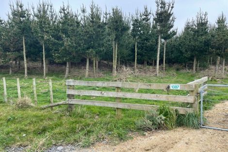 Photo of property in 1387 Santoft Road, Santoft, Bulls, 4894