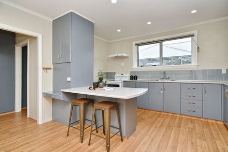 Photo of property in 42 Croziers Road, St Albans, Christchurch, 8052