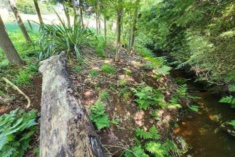 Photo of property in 118 Wrights Road, Raglan, 3295