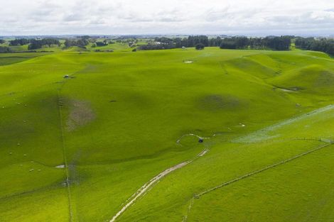 Photo of property in 234 Sandon Road, Feilding, 4779