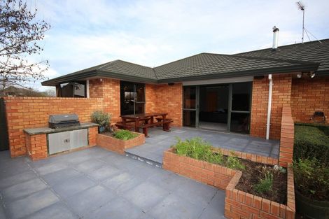 Photo of property in 17 Digby Place, Allenton, Ashburton, 7700