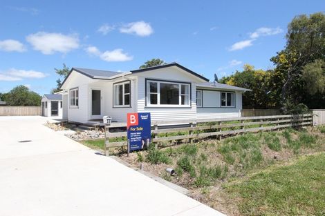 Photo of property in 22 Pitt Street, Pahiatua, 4910