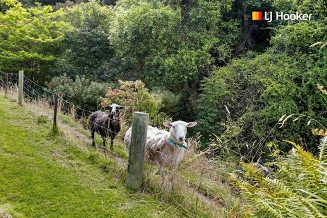 Photo of property in 4a Ronay Street, Bradford, Dunedin, 9011