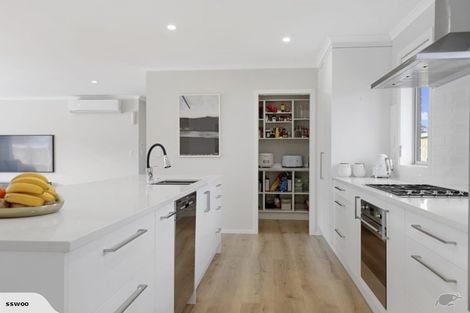 Photo of property in 13 Millar Street, Te Aroha, 3320