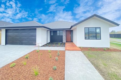 Photo of property in 81 Oaks Drive, Lincoln, 7608