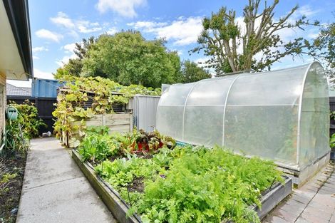 Photo of property in 44 Panckhurst Drive, Woodend, 7610