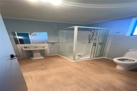 Photo of property in 9 Weraroa Road, Levin, 5510