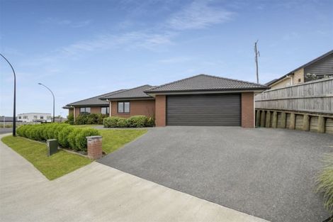 Photo of property in 117 Te Manatu Drive, Huntington, Hamilton, 3210