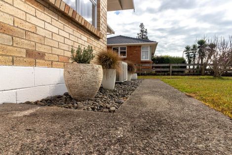 Photo of property in 27 Shaw Avenue, Paeroa, 3600