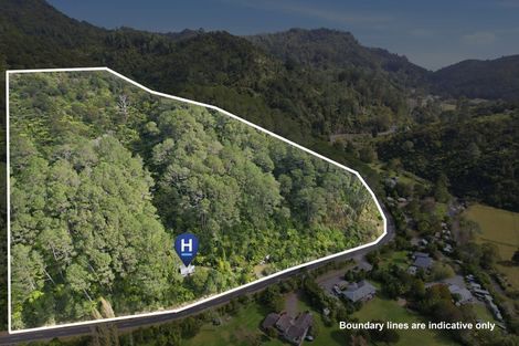 Photo of property in 294 Tapu Coroglen Road, Tapu, Thames, 3575
