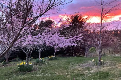 Photo of property in 806 Mount Cargill Road, Mount Cargill, Waitati, 9085