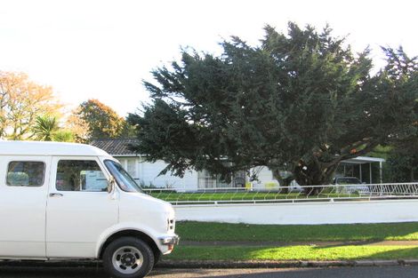 Photo of property in 22 Cramond Street, Tokoroa, 3420