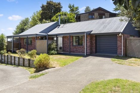 Photo of property in 183 Ohauiti Road, Hairini, Tauranga, 3112