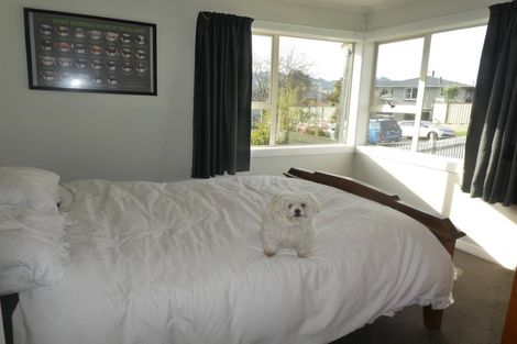 Photo of property in 61 Martin Road, Fairfield, Dunedin, 9018