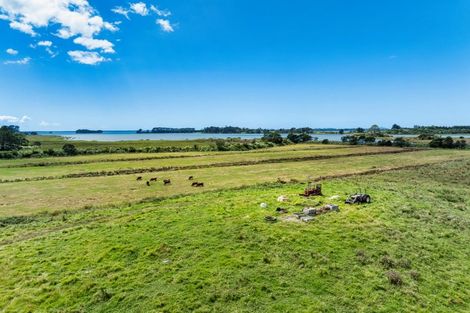 Photo of property in 36 Sedgemoor Lane, Tahawai, Katikati, 3178