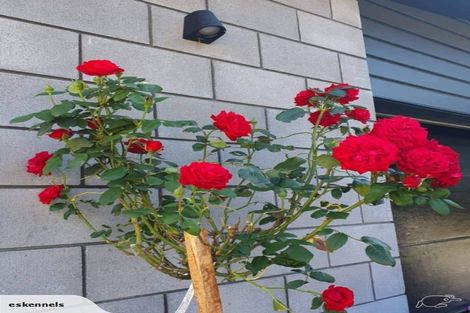 Photo of property in 86 Seafield Road, Eskdale, Napier, 4182