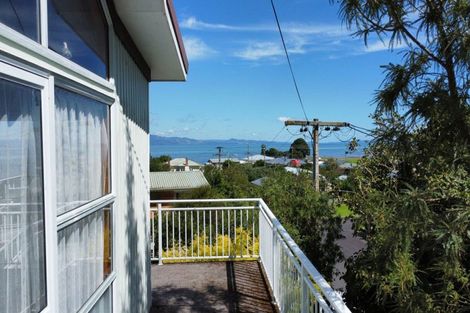 Photo of property in 25 Creagh Street, Tapu, Thames, 3575