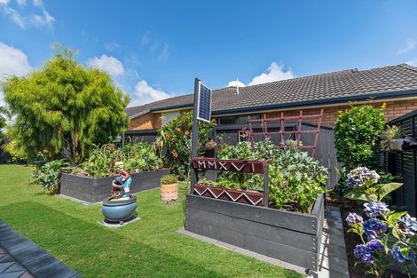 Photo of property in 19 Carrington Drive, Papamoa Beach, Papamoa, 3118