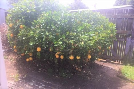 Photo of property in 4 Didsbury Drive, Waihi Beach, 3611