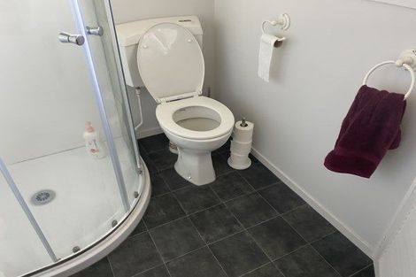 Photo of property in 128b Victoria Avenue, Hokowhitu, Palmerston North, 4410