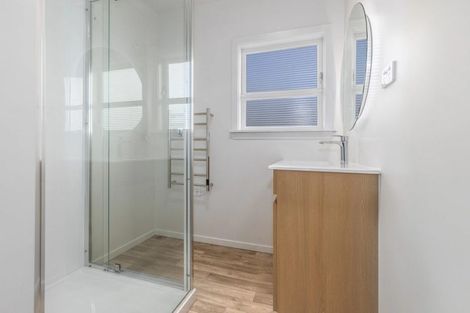 Photo of property in 21 Ferguson Street, Levin, 5510