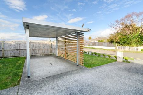 Photo of property in 4a Denbigh Place, Awapuni, Palmerston North, 4412