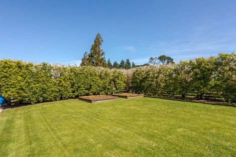 Photo of property in 569 Laws Road, Dannevirke, 4972