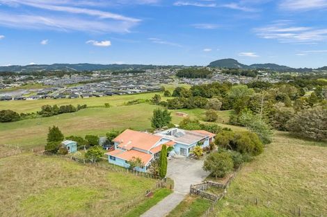 Photo of property in 109 Vinegar Hill Road, Kauri, Kamo, 0185