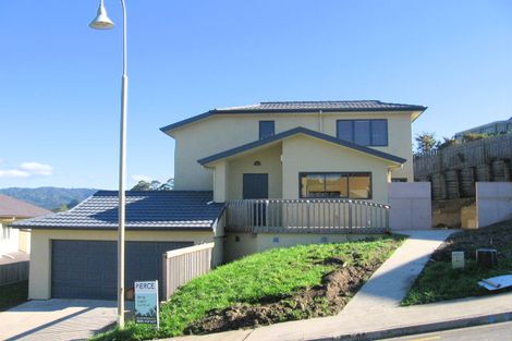 Photo of property in 33 Virginia Street, Henderson, Auckland, 0612