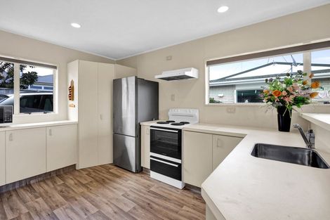 Photo of property in 30a Sackville Street, Fitzroy, New Plymouth, 4312