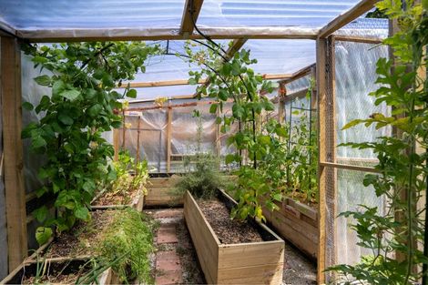 Photo of property in 52 Shelley Street, Leamington, Cambridge, 3432