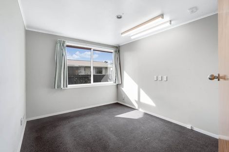 Photo of property in 12 Ryan Avenue, Chartwell, Hamilton, 3210