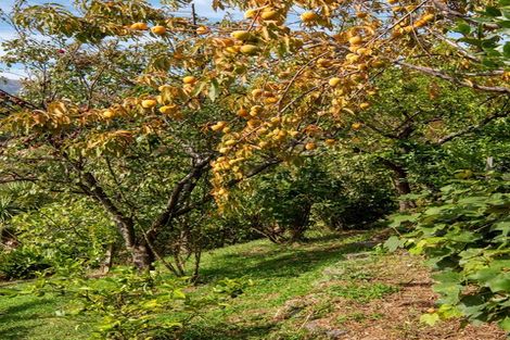 Photo of property in 217 Beach Road, Akaroa, 7520